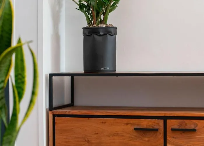 Flora Relax - Venice House Marghera